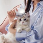 ماساژور سر MDHL مدل K112