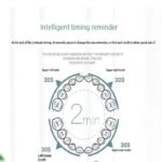 مسواک برقی MDHL مدل 801